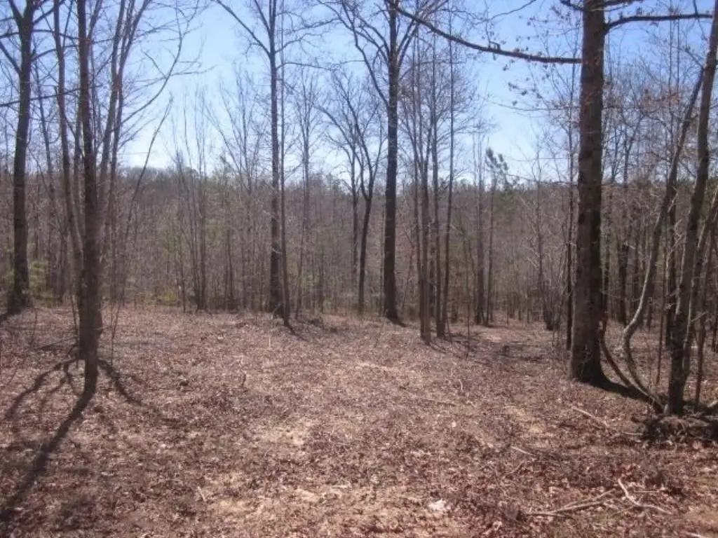Picture 24