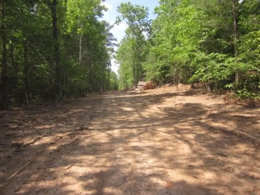 Picture 39