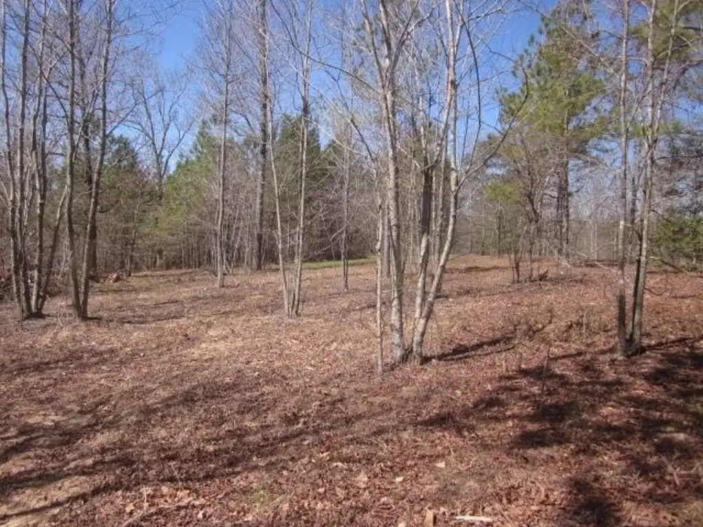 Picture 25