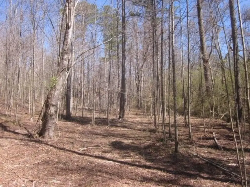 Picture 13