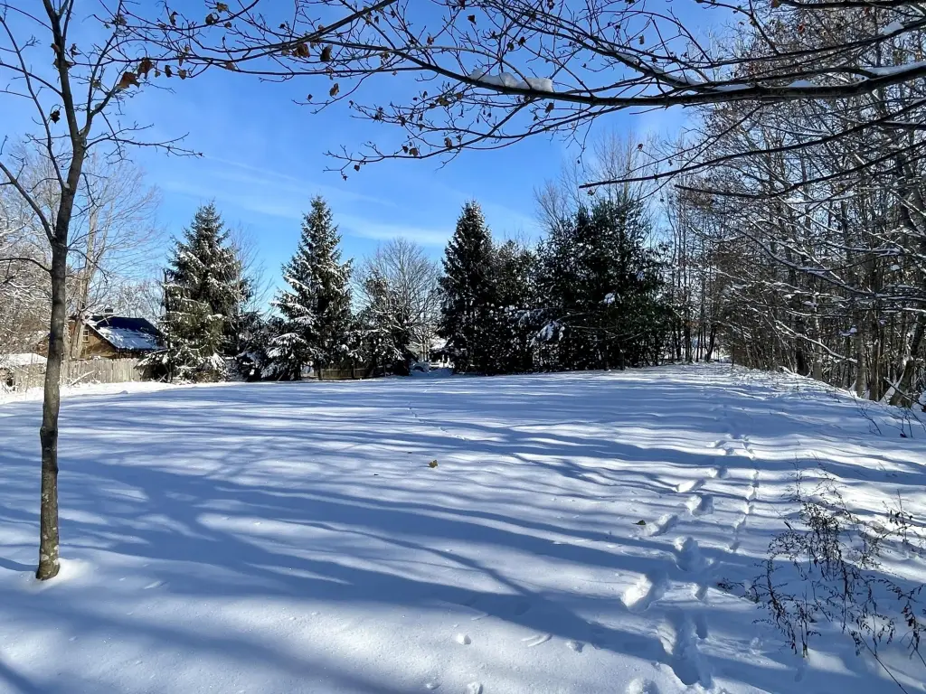 Picture 29