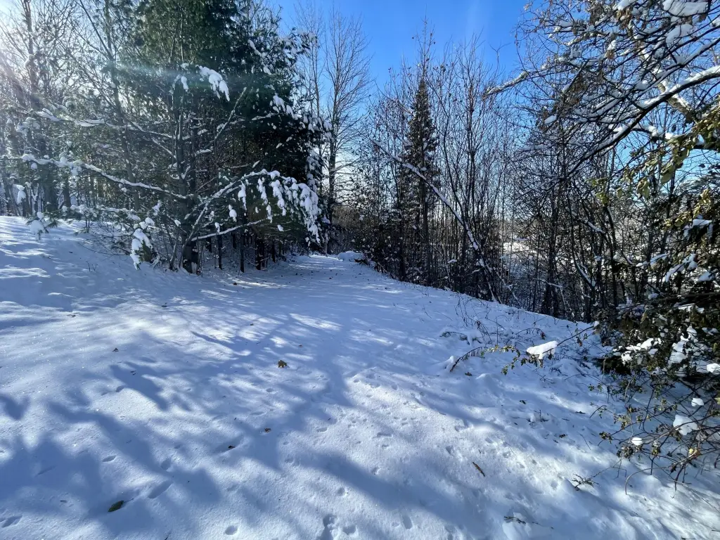 Picture 37