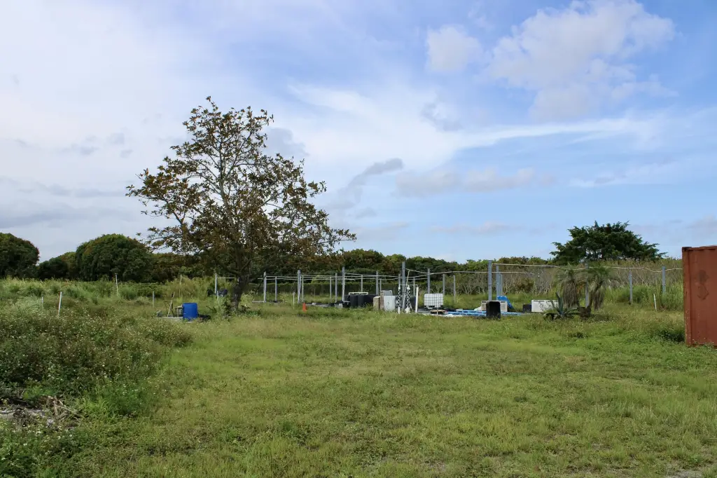 Picture 15