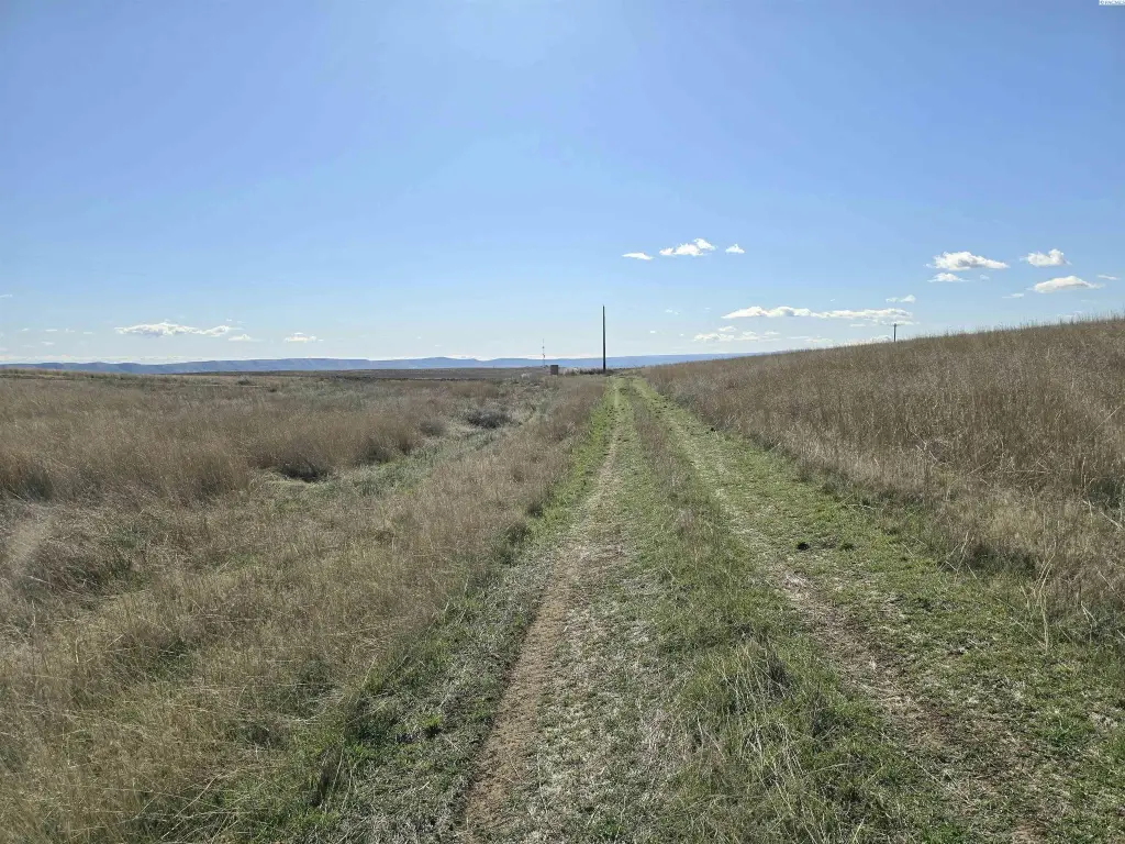 Picture 27