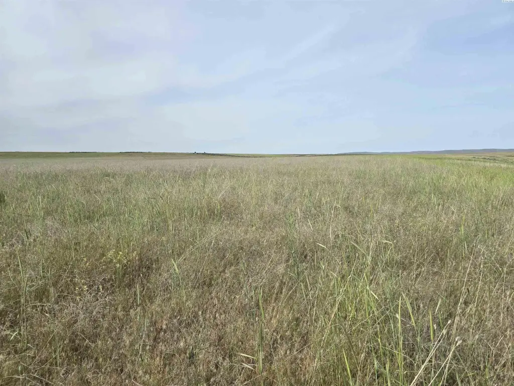 Picture 30