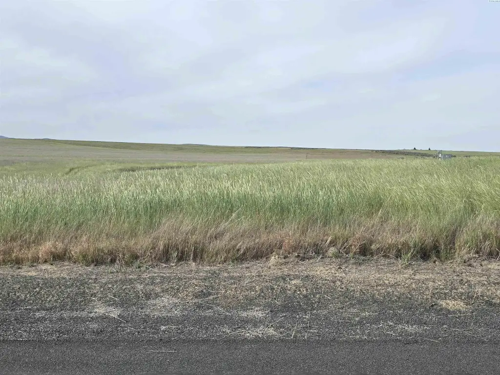 Picture 33