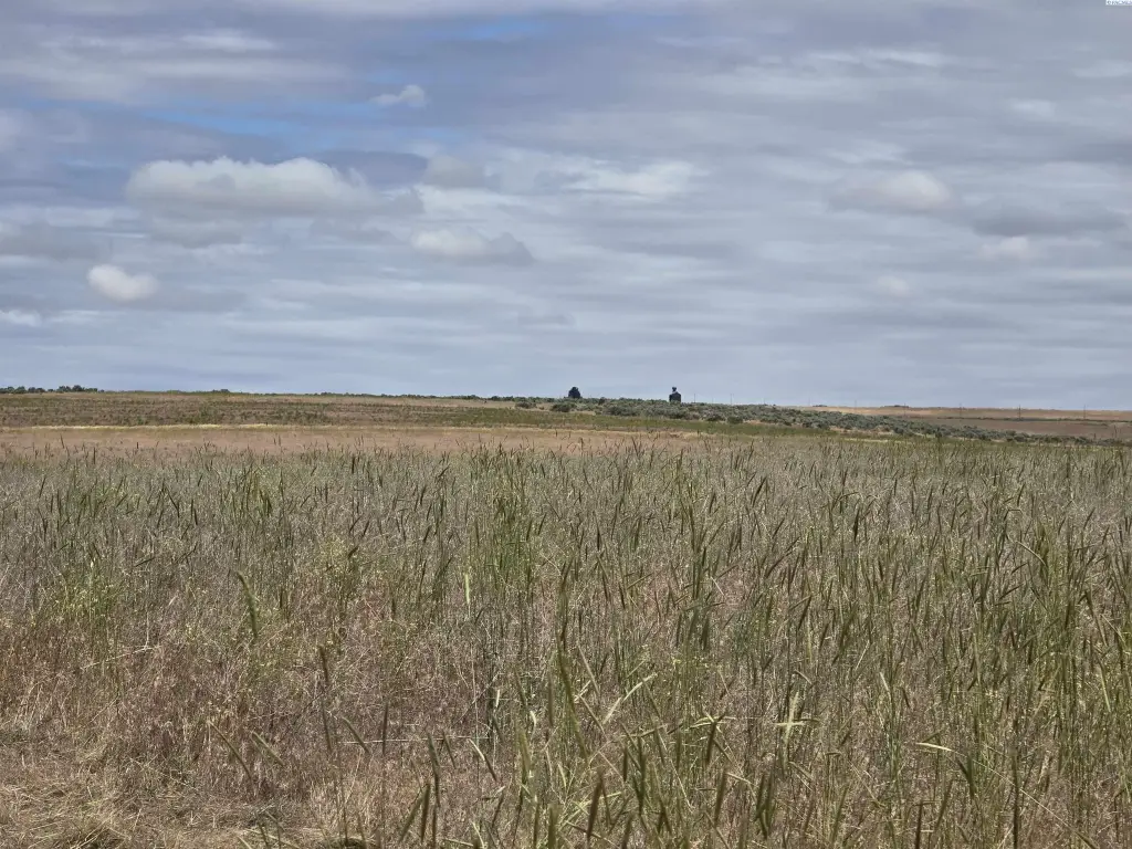Picture 43