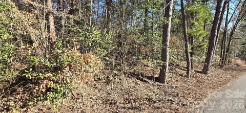 Wooded Lot in Catawba, NC