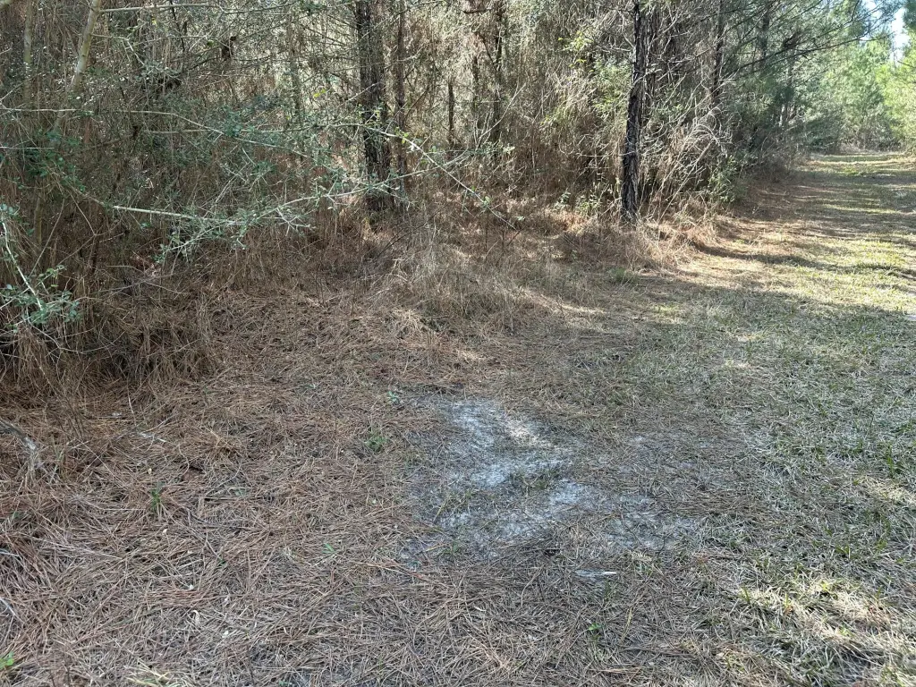 Picture 10