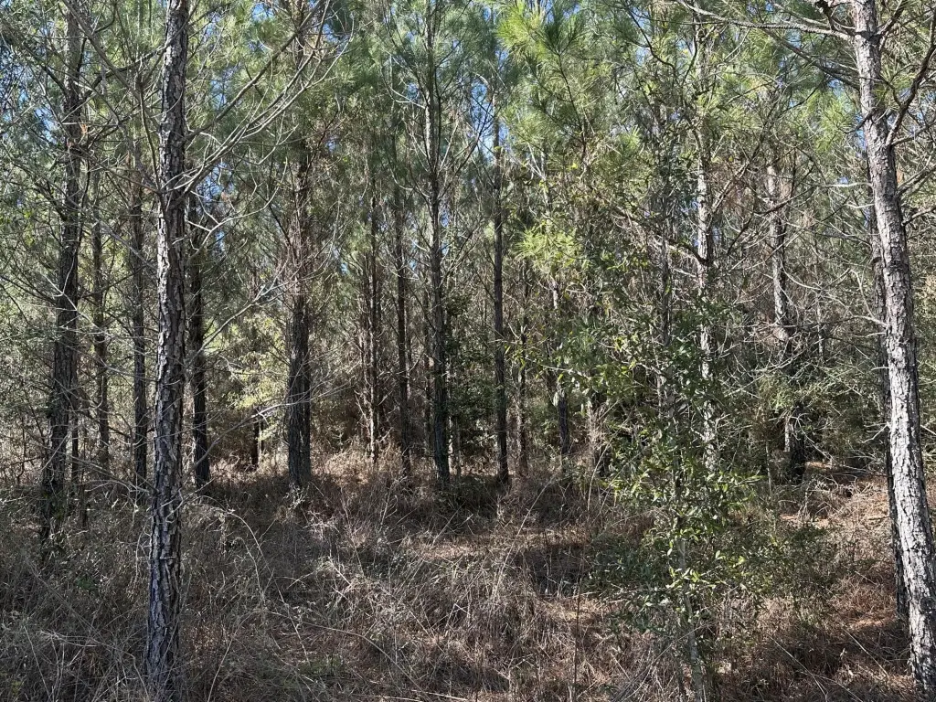 Picture 17