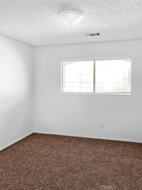 Picture 42
