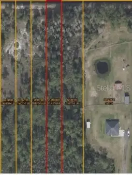 Vacant Land in Orlando