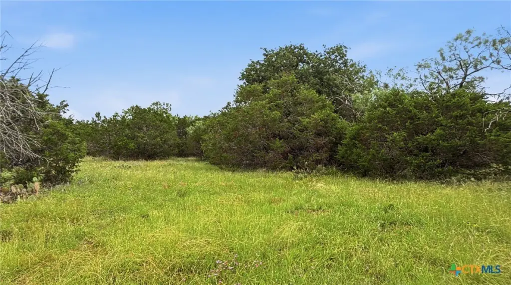 Picture 3