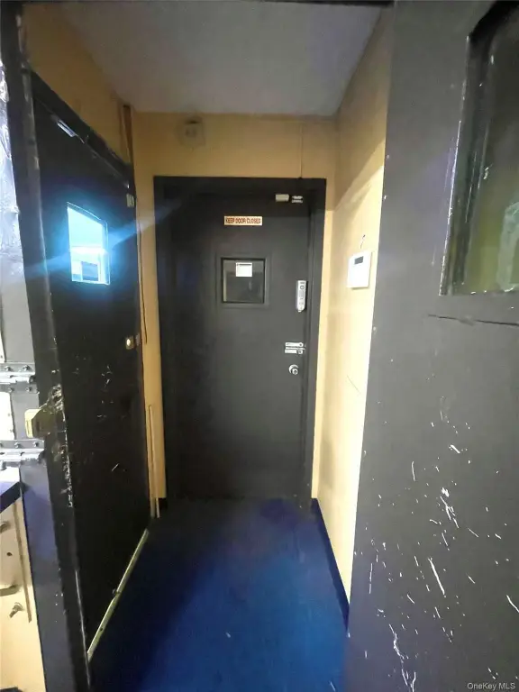 Picture 5