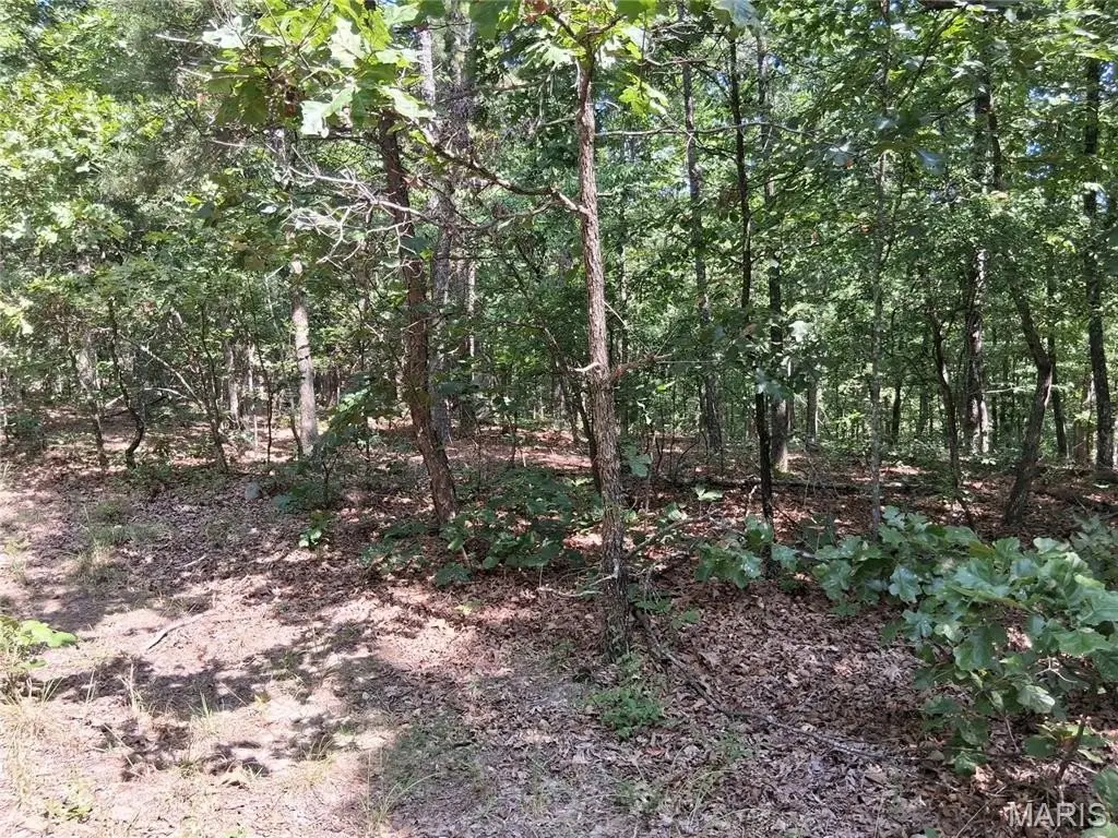 Picture 12