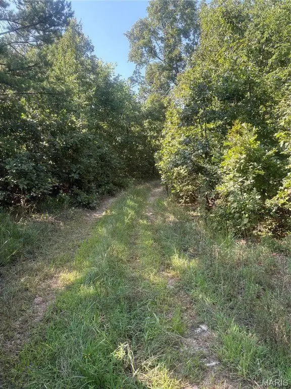 Picture 3