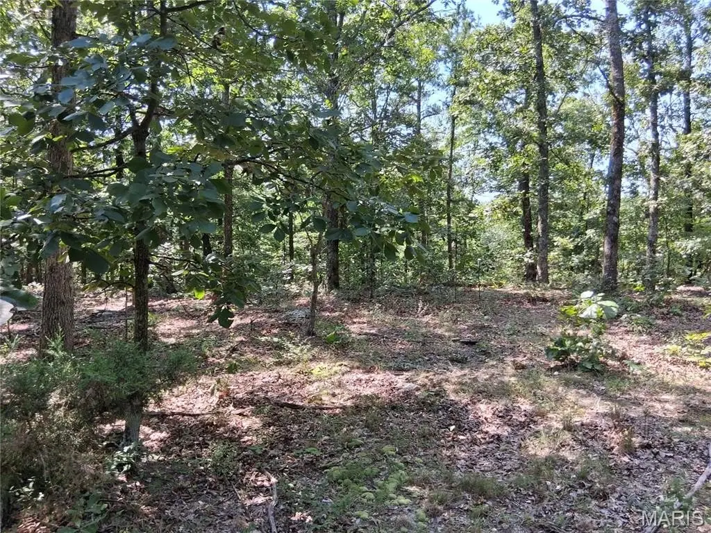 Picture 16