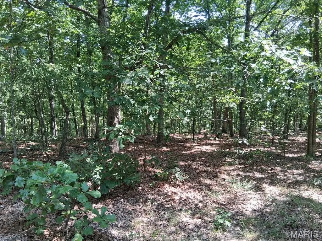 Picture 13