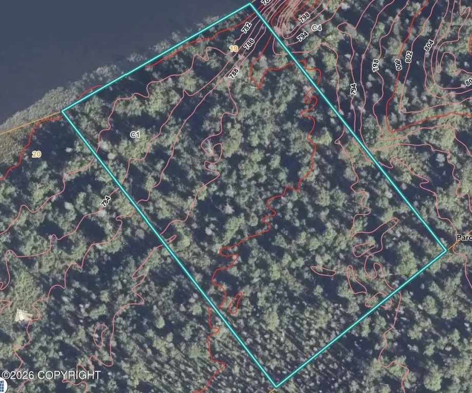 Picture 4