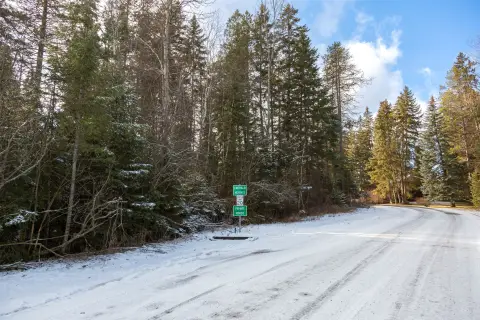 Forested Lot in Emerald Heights