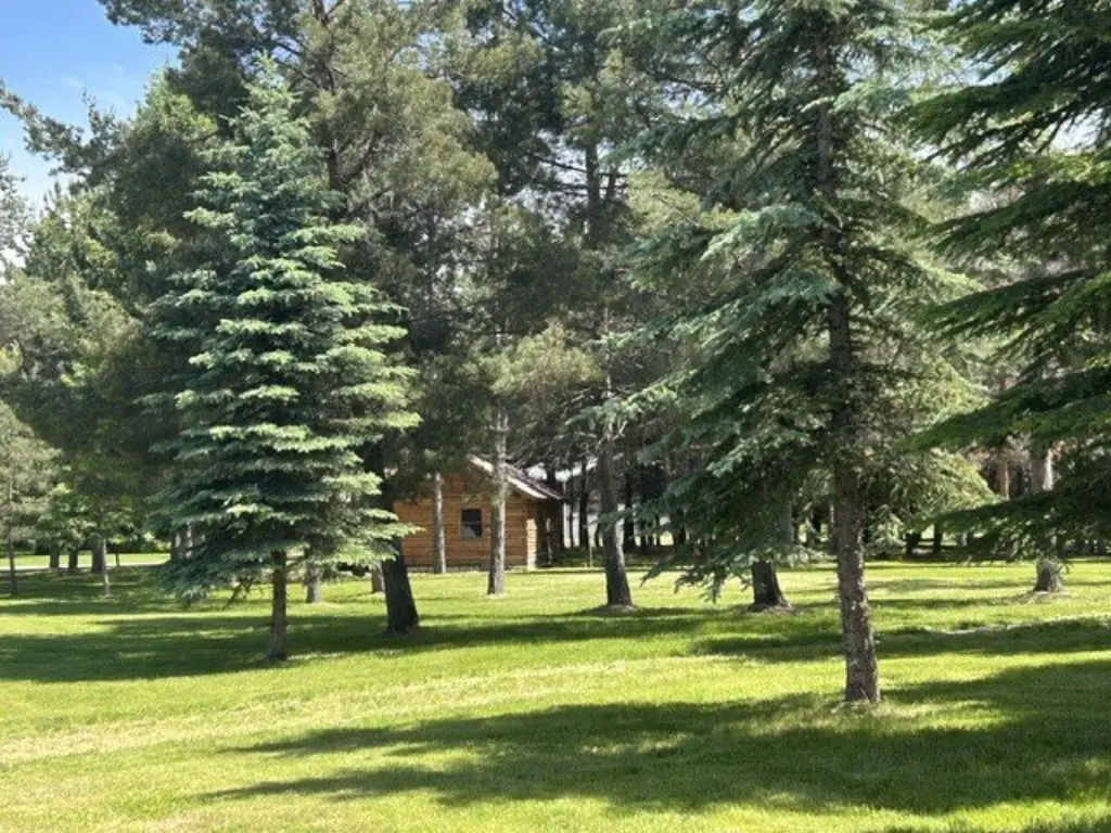 Picture 4
