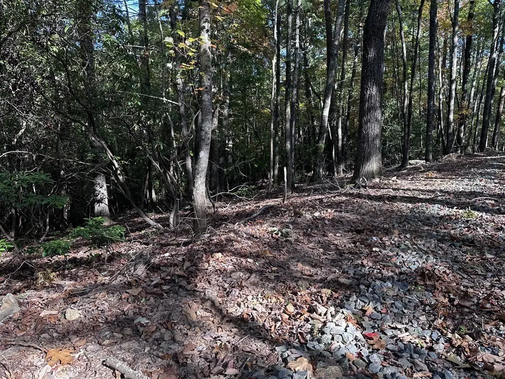 Picture 19