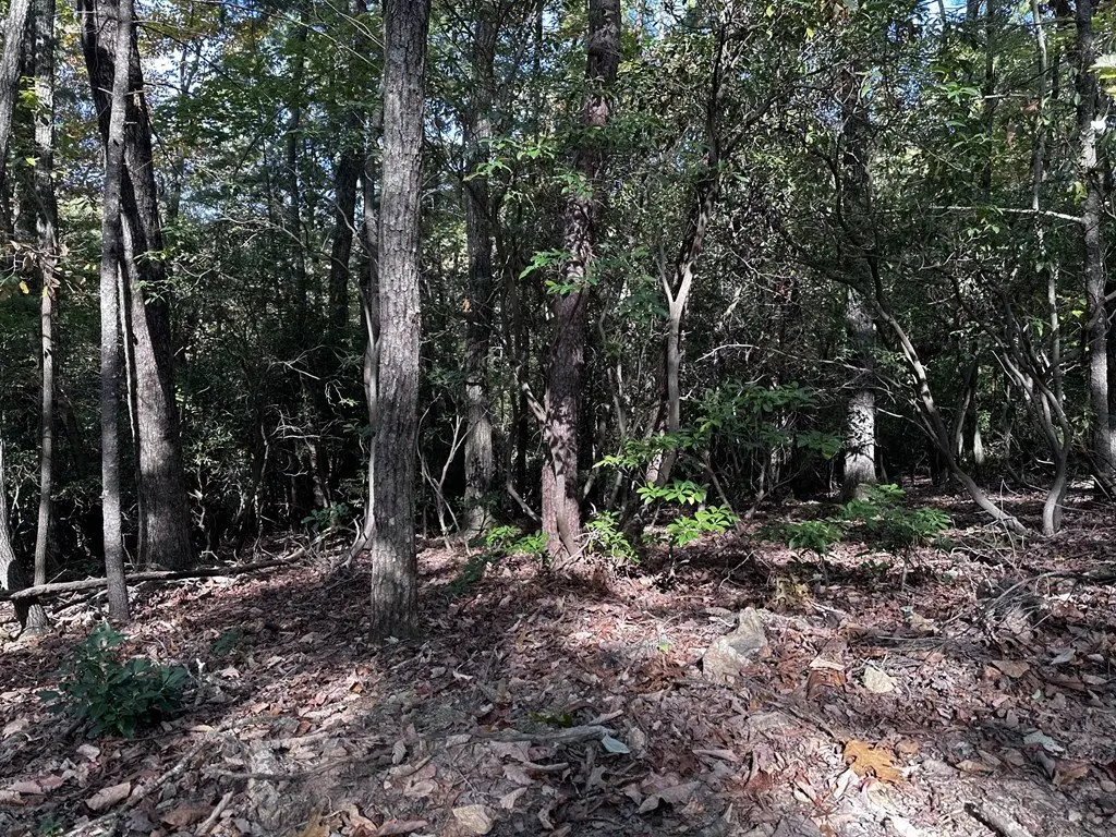 Picture 18