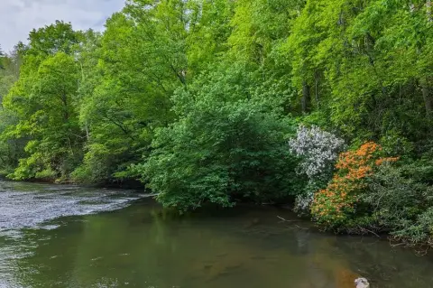 Ellijay Riverfront Mountain View Lot