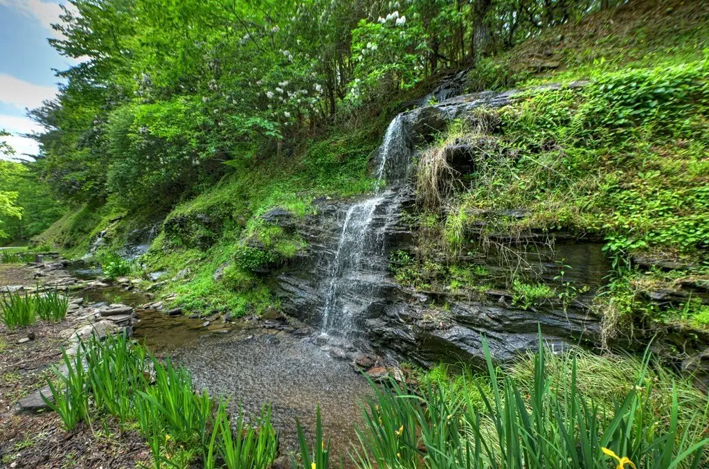 Picture 17