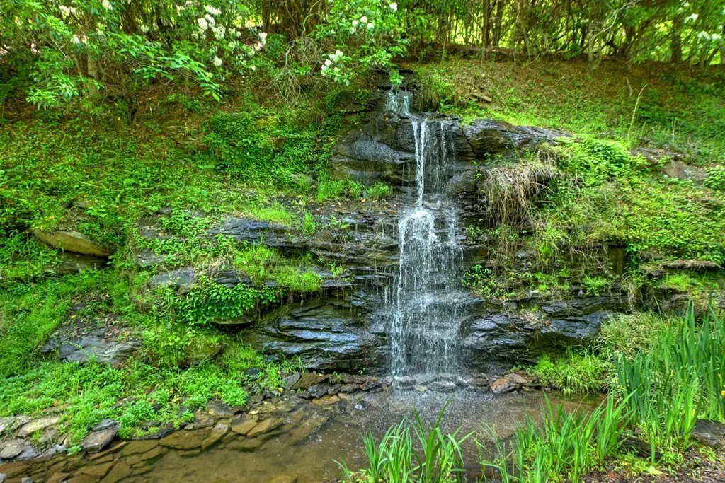 Picture 19