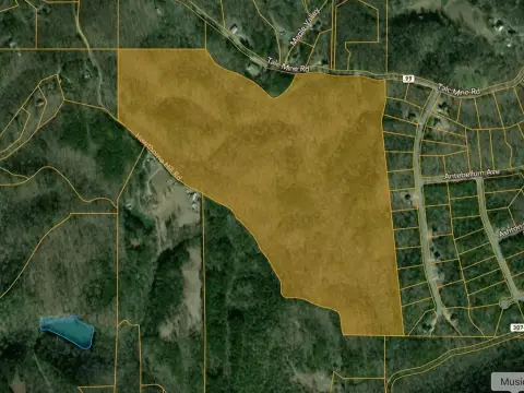 95.9 Acres on Talc Mine