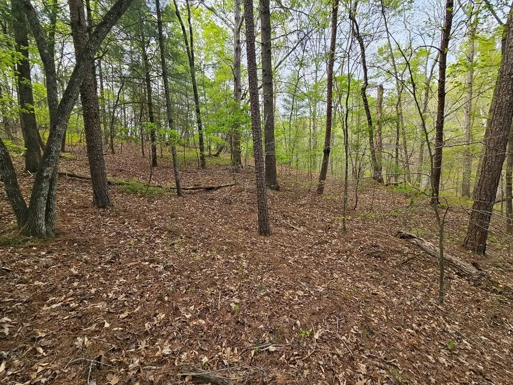 Picture 29