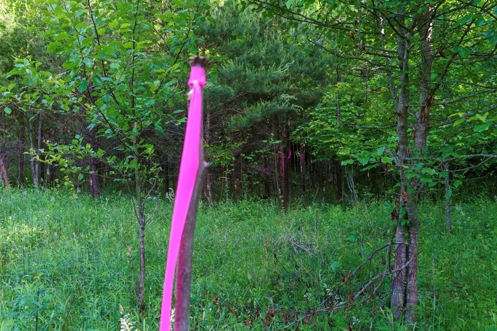 Picture 21