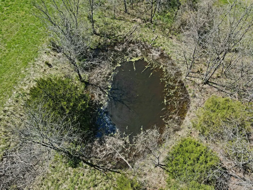 Picture 9