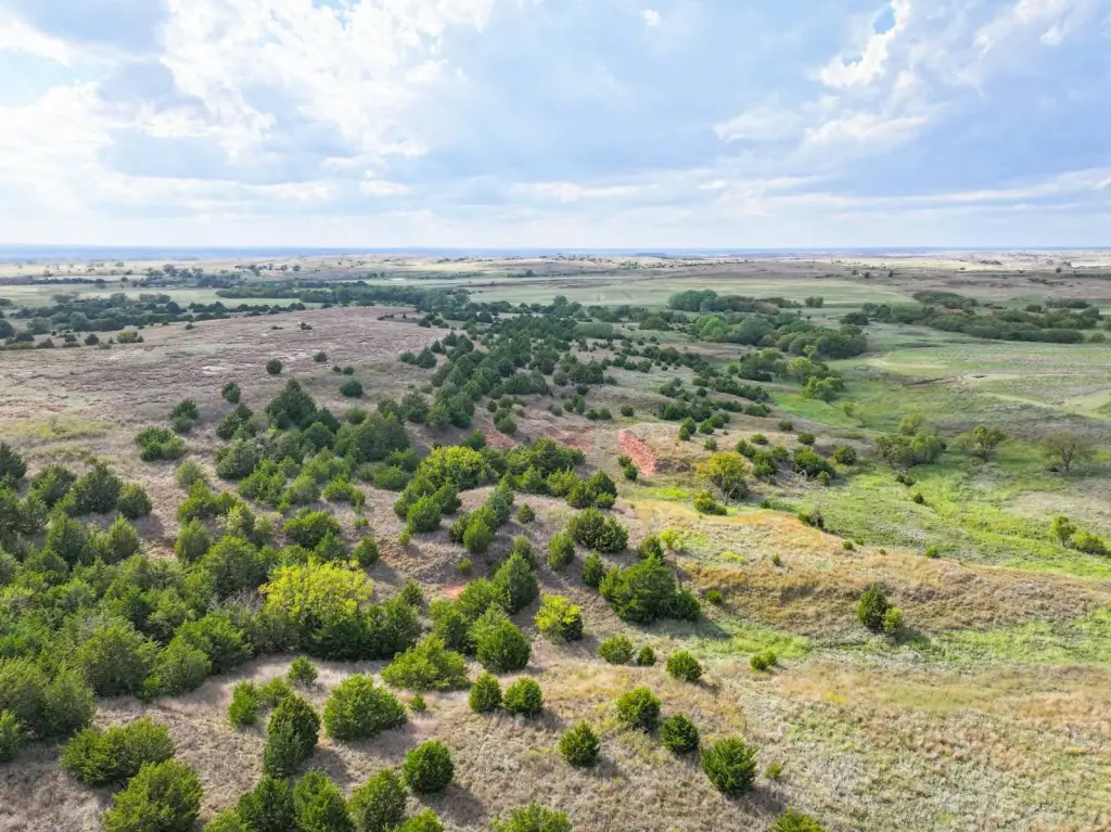 Picture 28