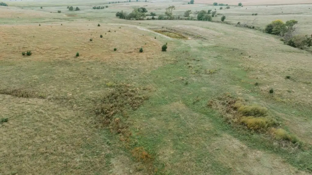 Picture 48