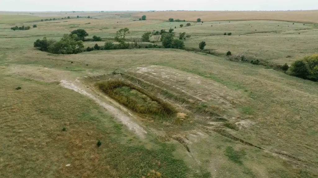 Picture 42