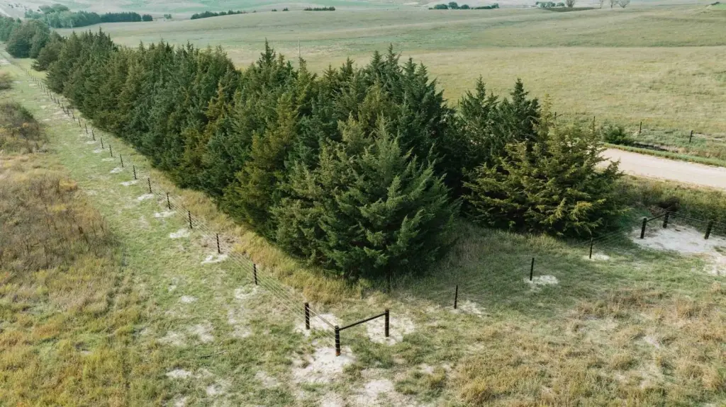 Picture 23