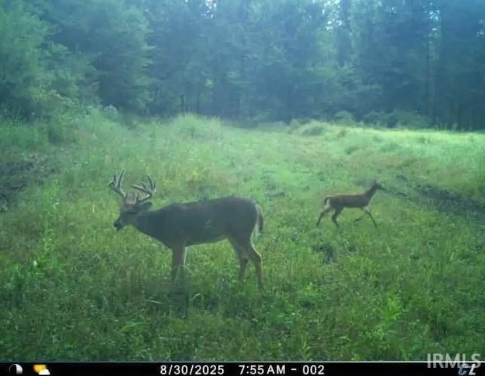 Picture 22