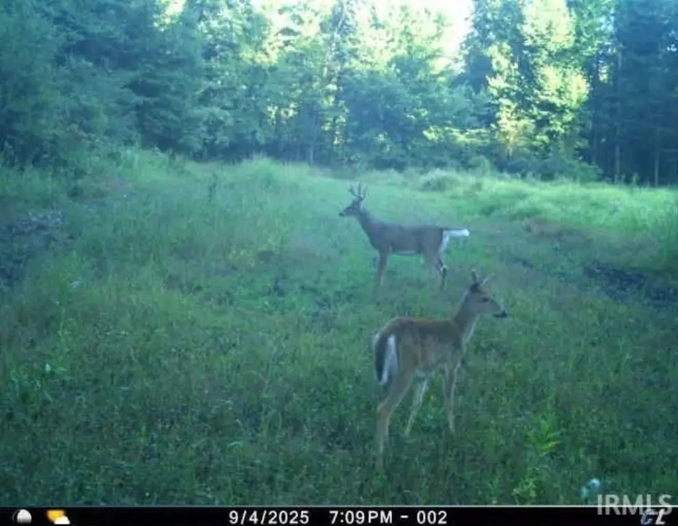 Picture 25