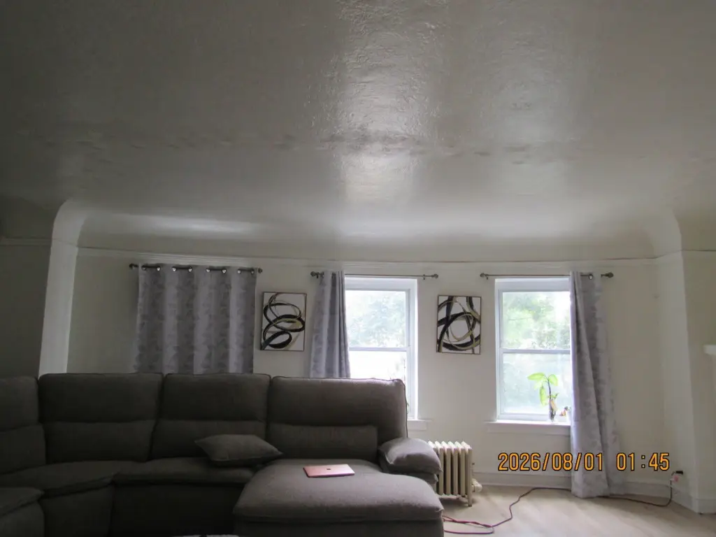 Picture 19