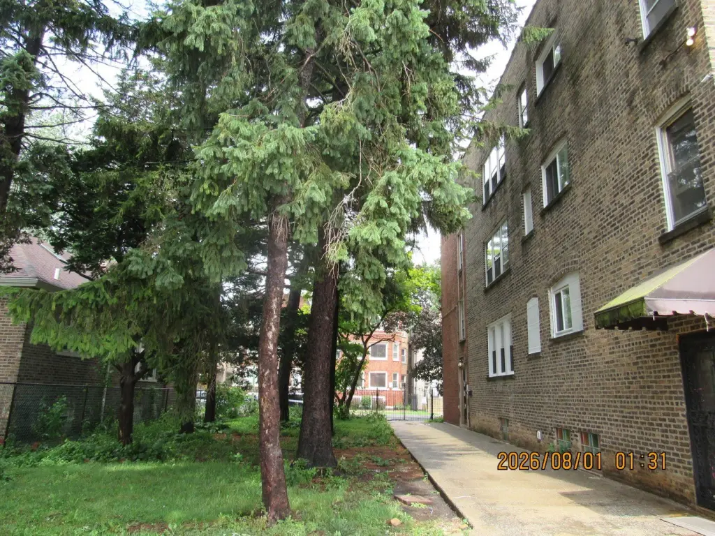 Picture 4