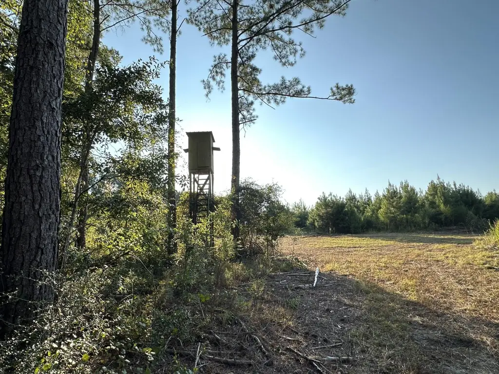 Picture 2