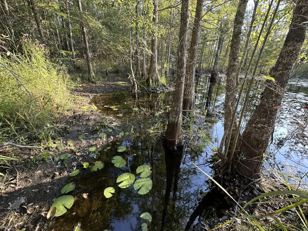 Picture 30