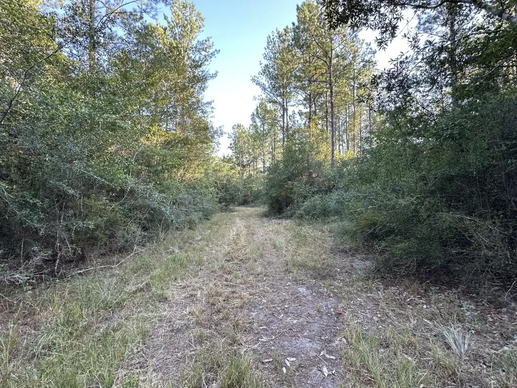 Picture 27
