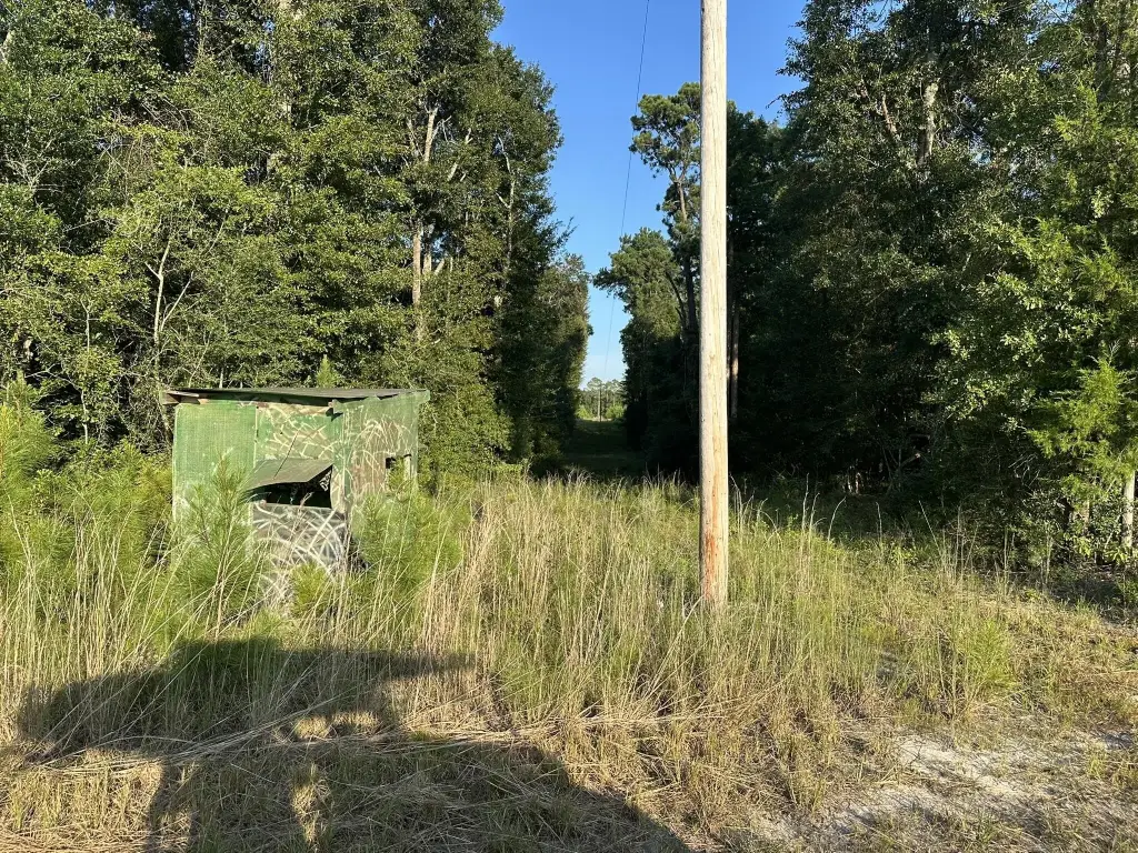 Picture 23