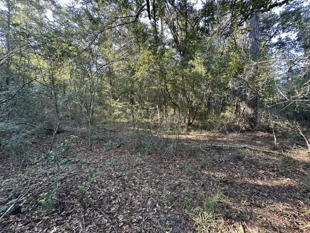 Picture 19