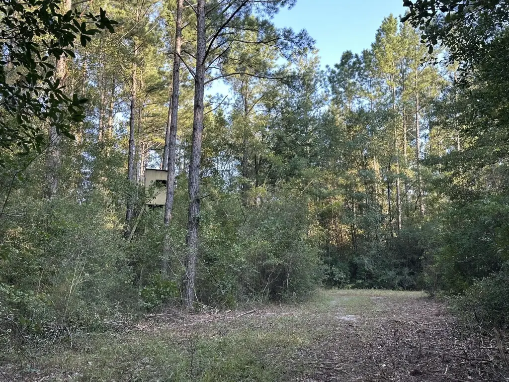 Picture 25