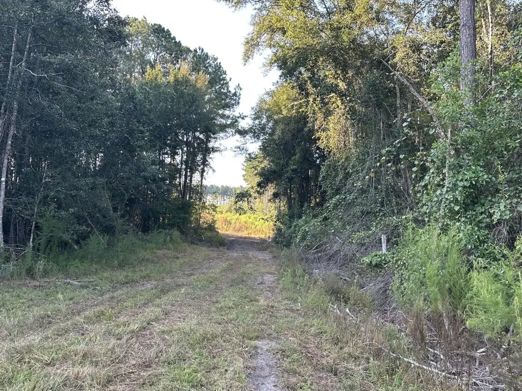 Picture 31