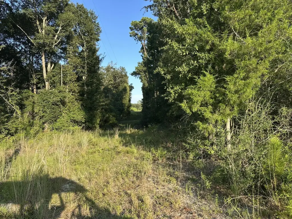 Picture 24